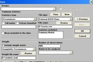 Pengaturan Data Ringkasan (Summary Statistics) di LISREL